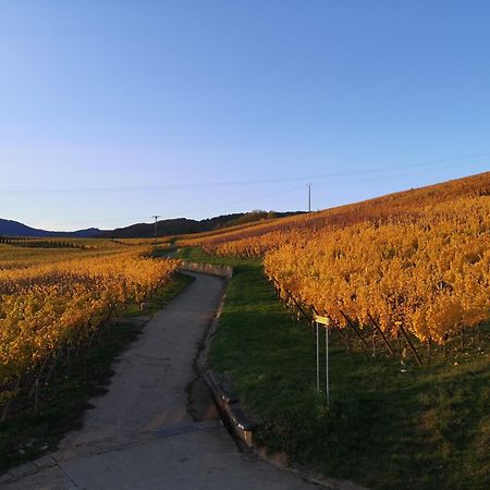 L'Altenberg เบิร์กไฮม์ ภายนอก รูปภาพ