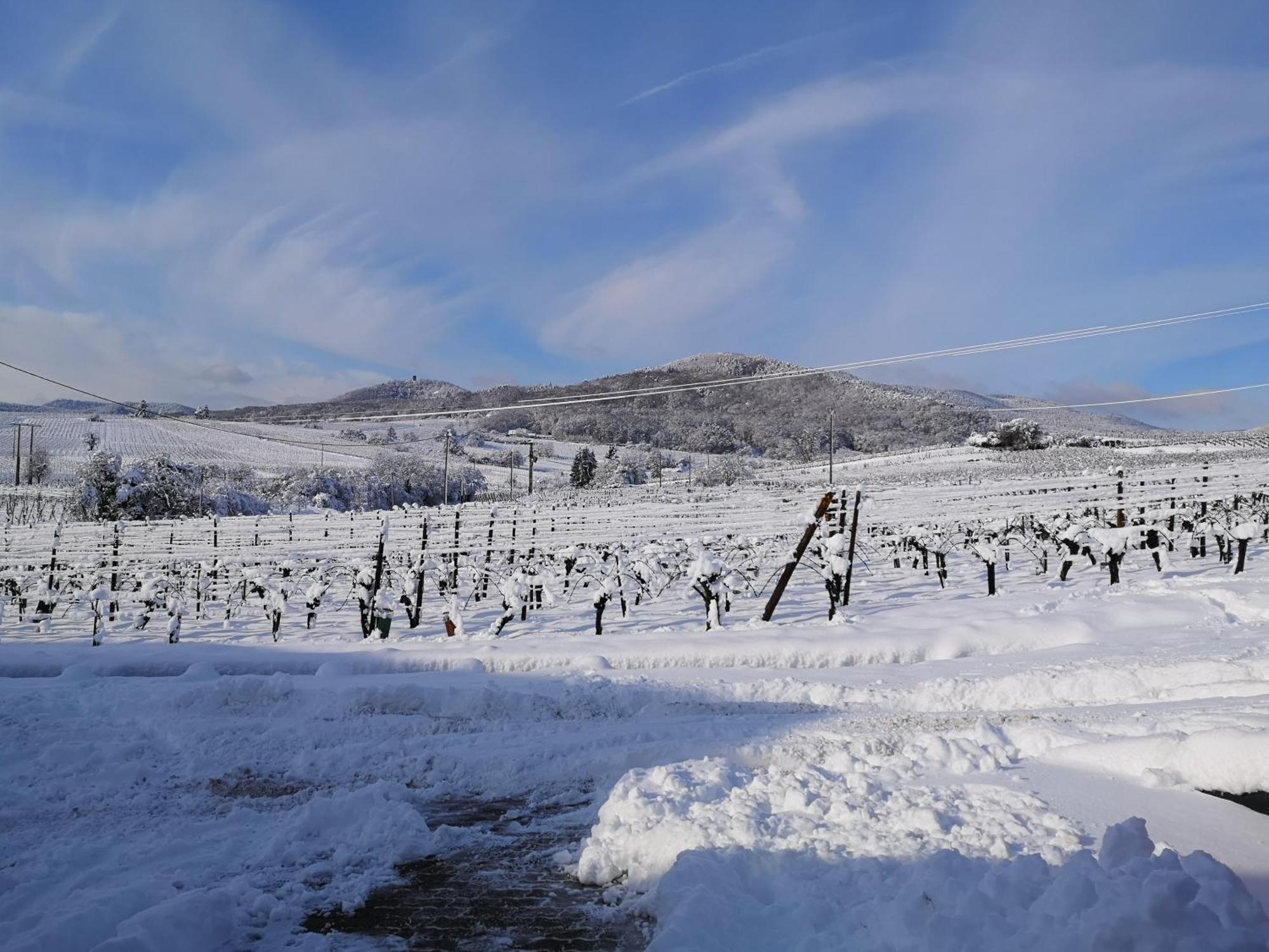 L'Altenberg เบิร์กไฮม์ ภายนอก รูปภาพ
